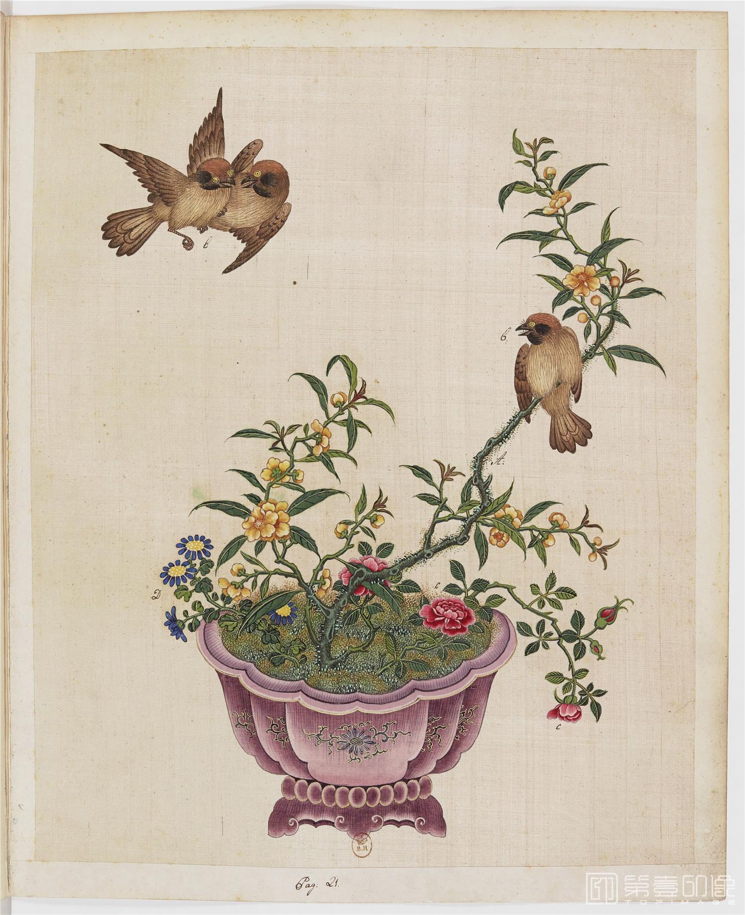 盆景花鸟草虫图册绢本-001-18-34x43cm-未知-国画作品-第壹印像